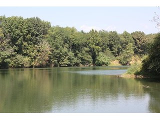 Property photo 60 - 419 +/- Acres offered in 6 Tracts, Land Auction